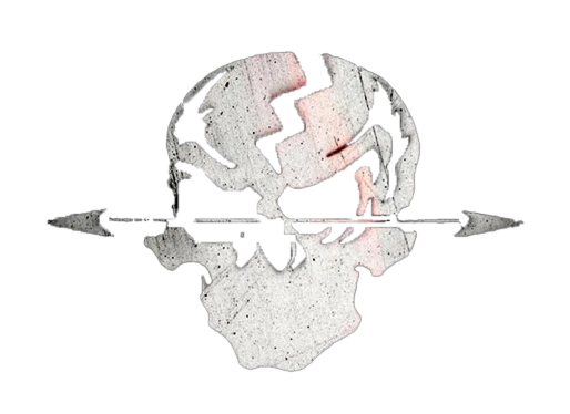 logo-of-STORM
